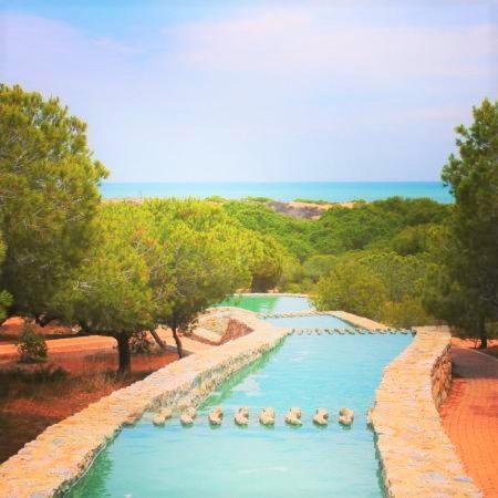 Apartment With Pool, Sea Views & Balcony Less Than 10Min Walk To La Mata Beach! Торевиеха Екстериор снимка