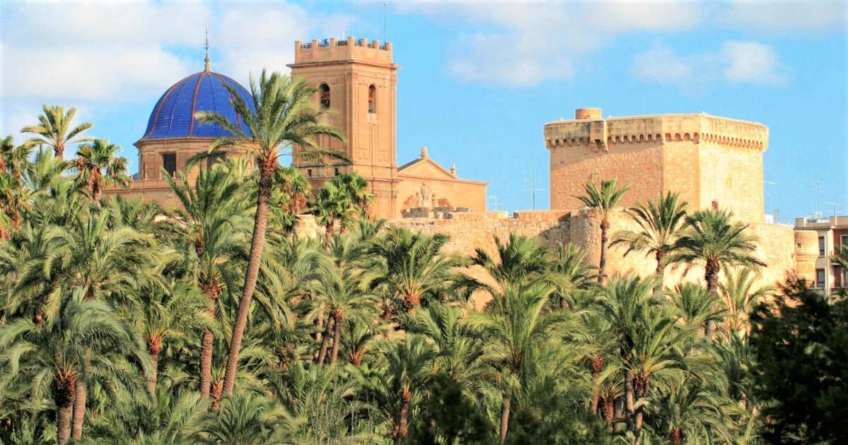 Apartment With Pool, Sea Views & Balcony Less Than 10Min Walk To La Mata Beach! Торевиеха Екстериор снимка